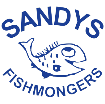 sandys fish.png